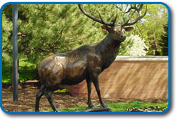 Elk Statue in Elk Grove