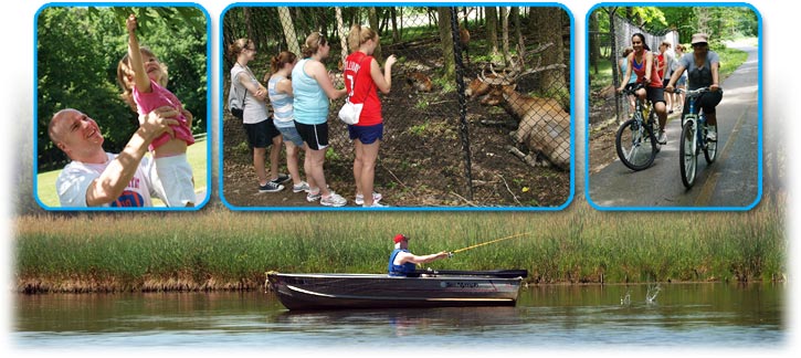Activities In Busse Woods Including Fishing